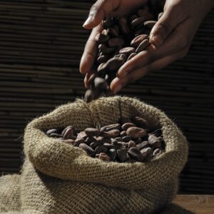 Cacao Chuncho