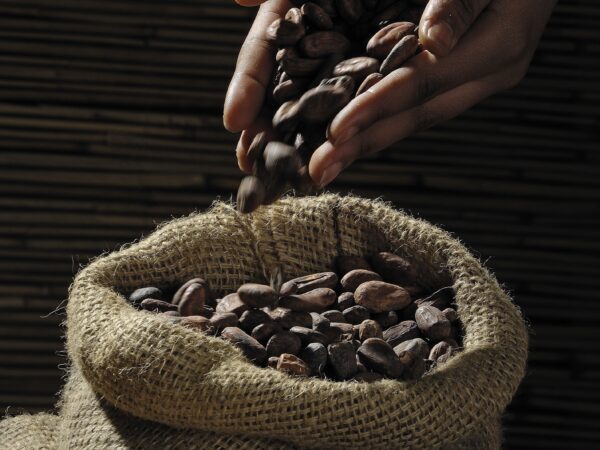 Cacao Chuncho