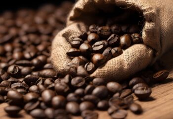 ¿Qué hace que un café sea de «especialidad»? Más allá de una simple etiqueta